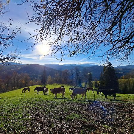 Apartamento Erlebnisbauernhof Gutschi Ranch Kamp Exterior foto